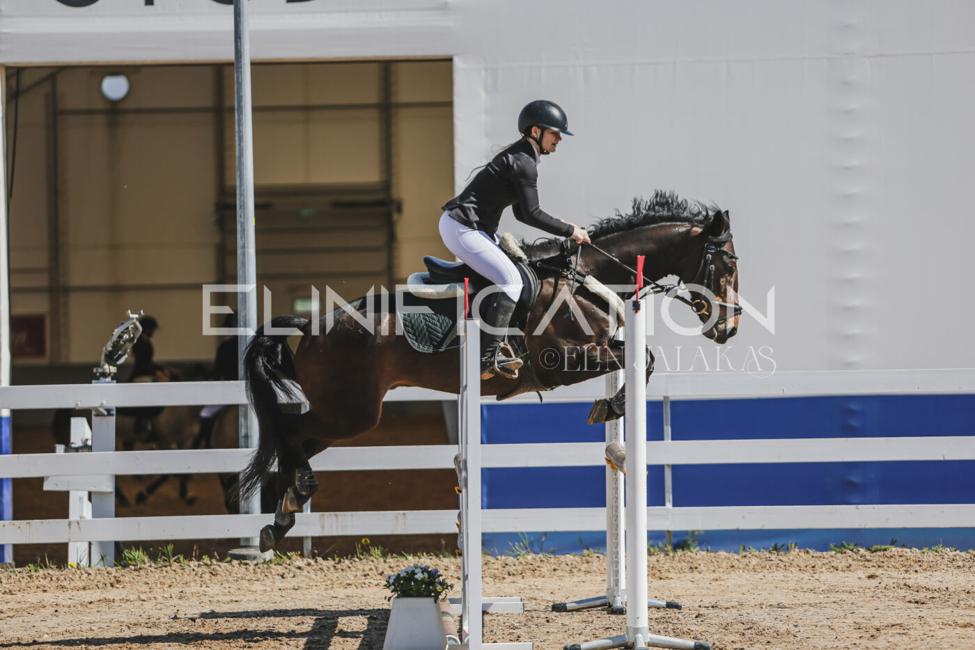 Gramina_Kevad_2026_90_103