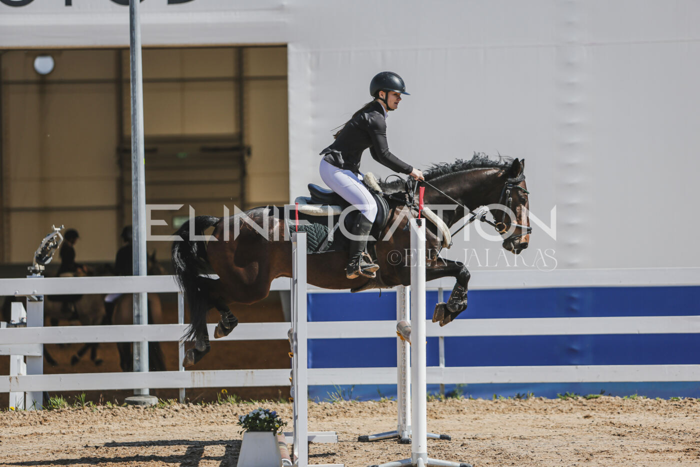 Gramina_Kevad_2026_90_104