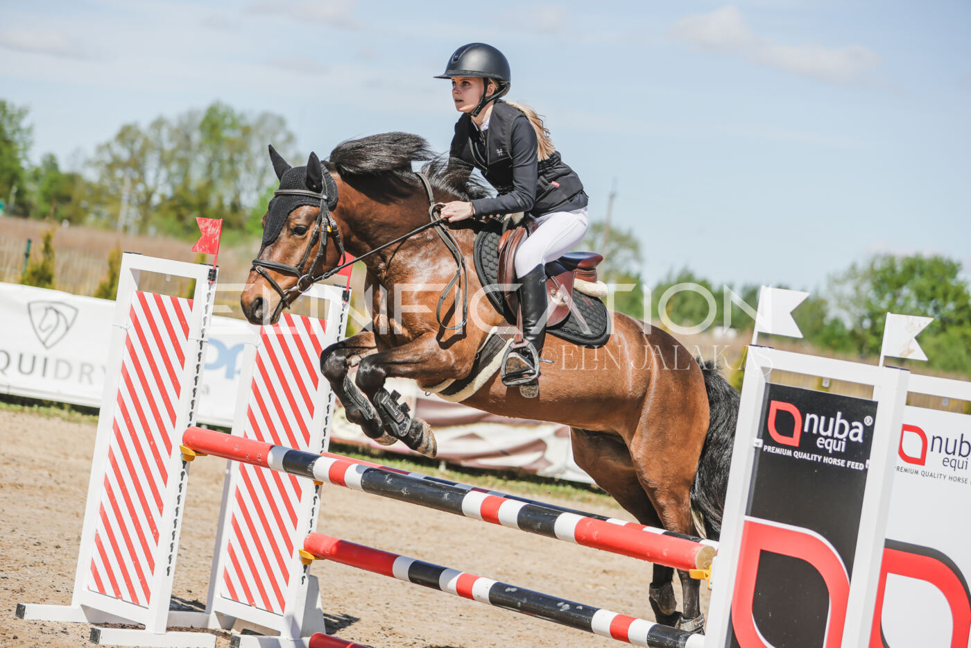 Gramina_Kevad_2026_90_112