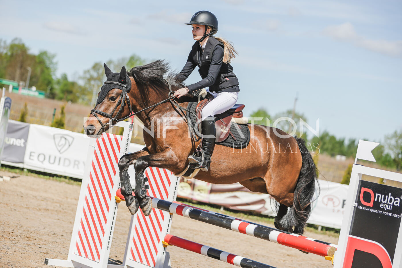 Gramina_Kevad_2026_90_114