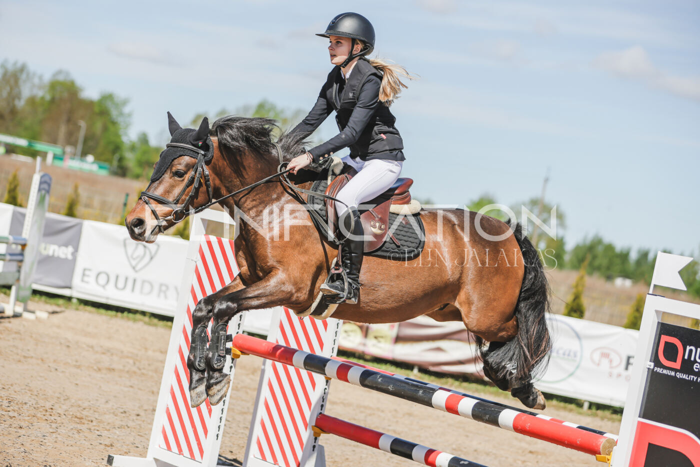 Gramina_Kevad_2026_90_115