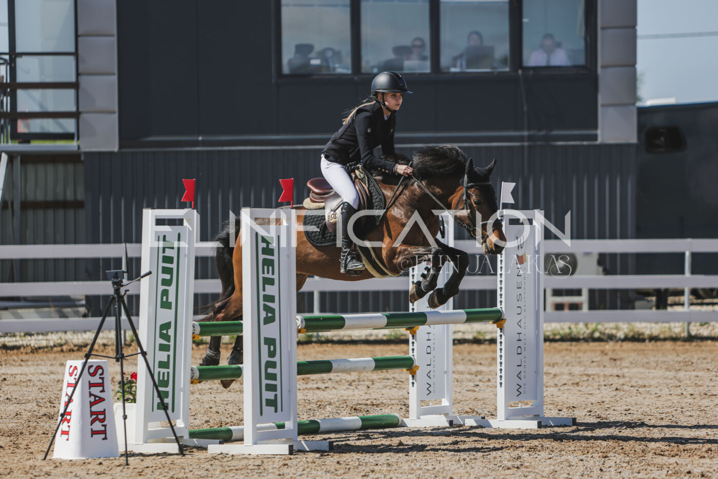Gramina_Kevad_2026_90_117