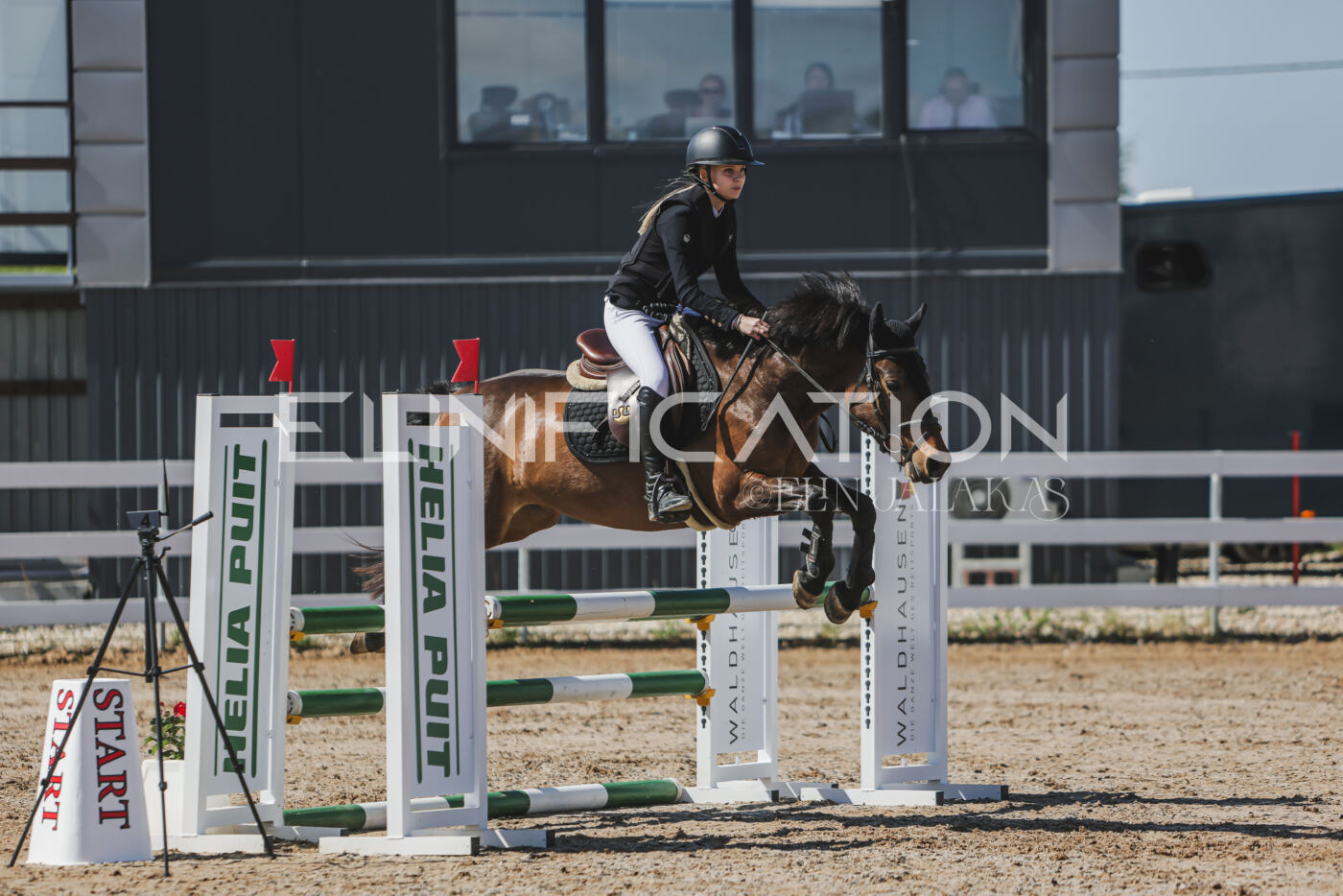 Gramina_Kevad_2026_90_118