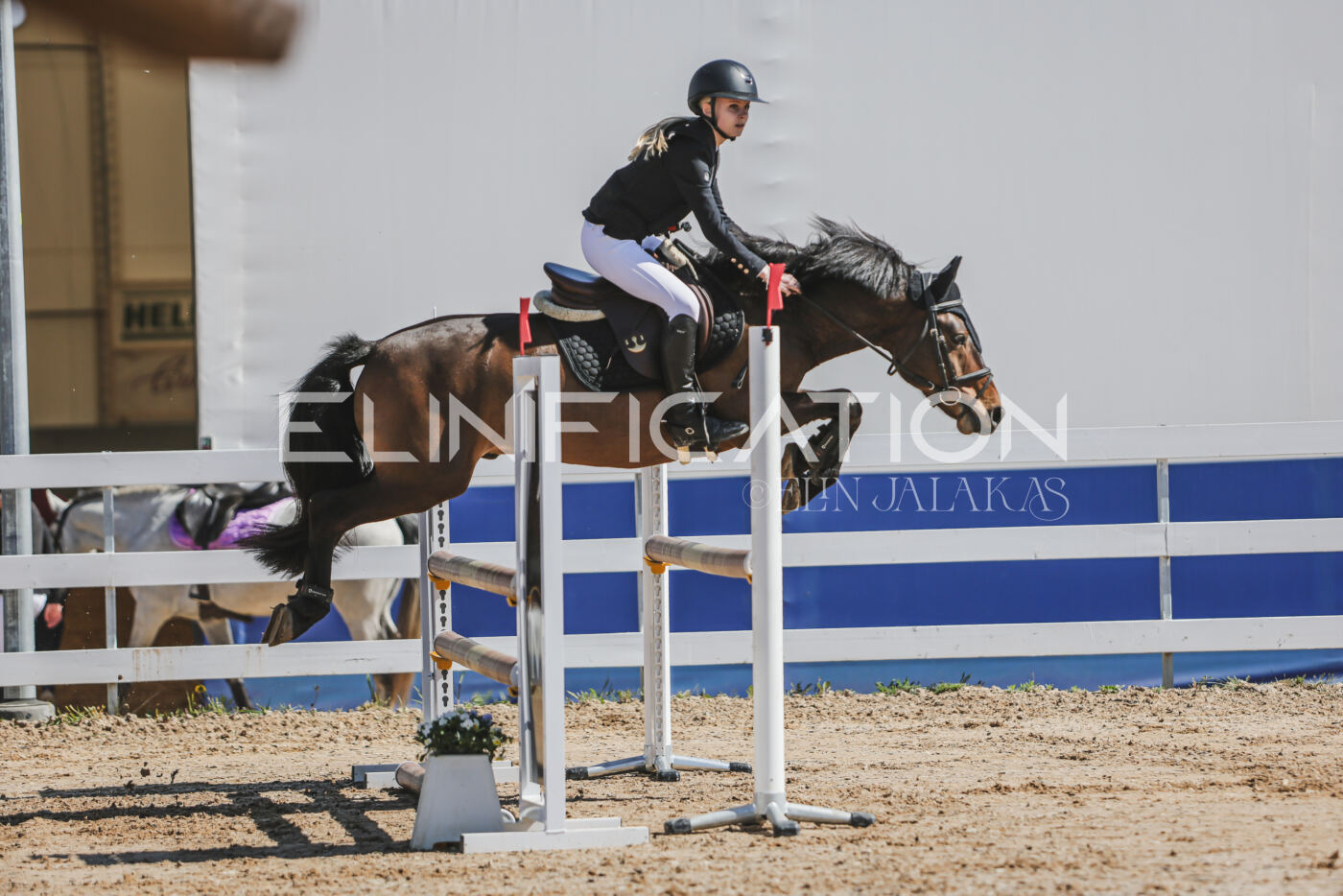 Gramina_Kevad_2026_90_121