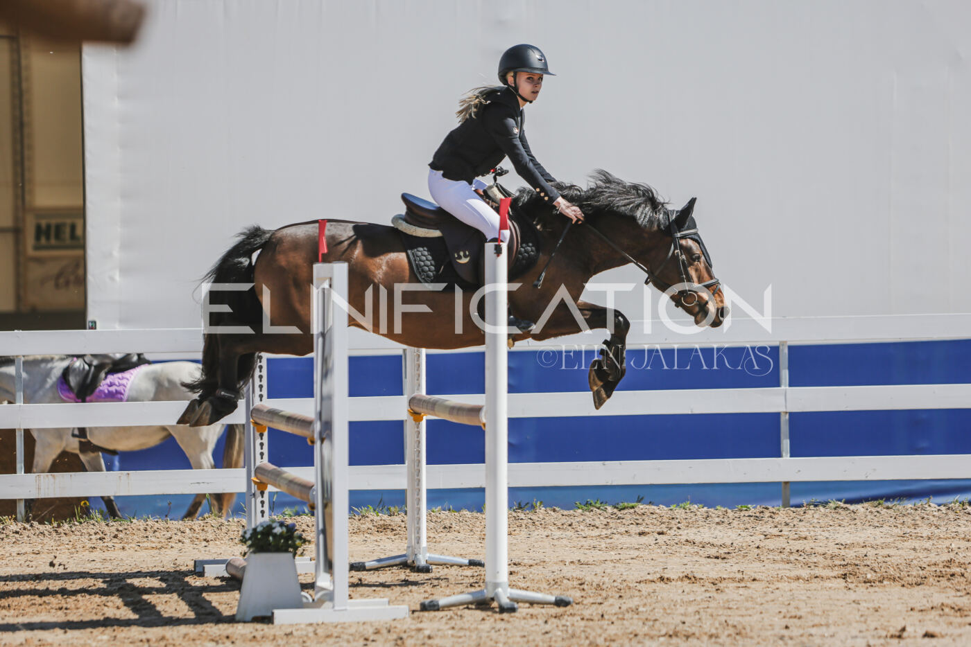 Gramina_Kevad_2026_90_122