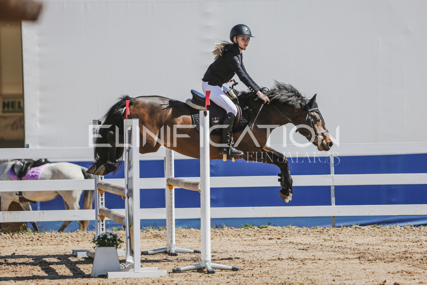 Gramina_Kevad_2026_90_123