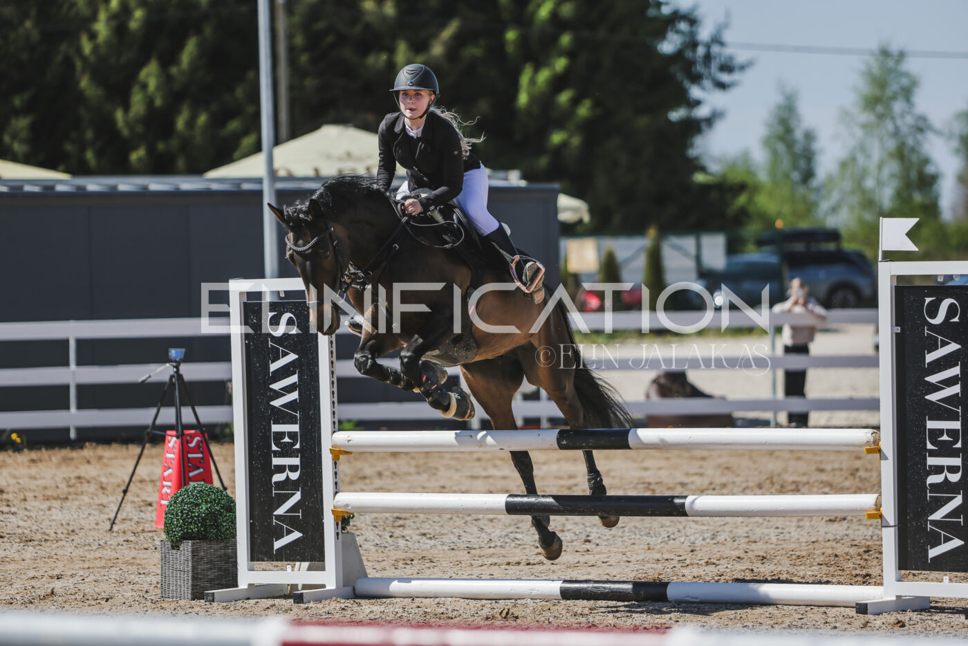Gramina_Kevad_2026_90_124