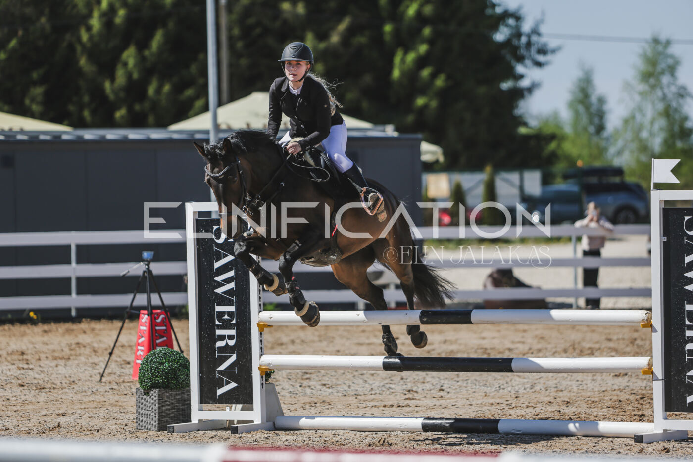 Gramina_Kevad_2026_90_125