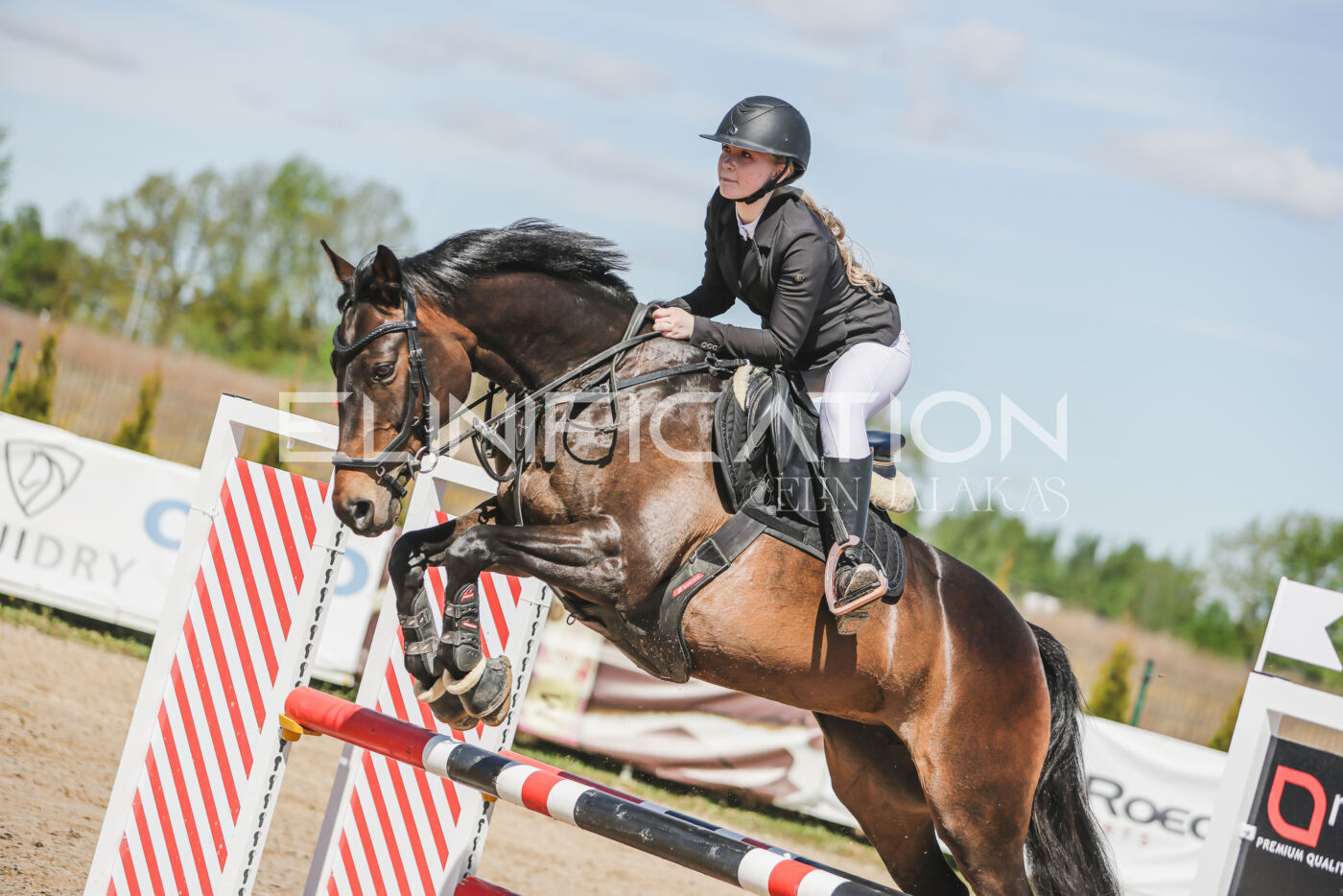 Gramina_Kevad_2026_90_128