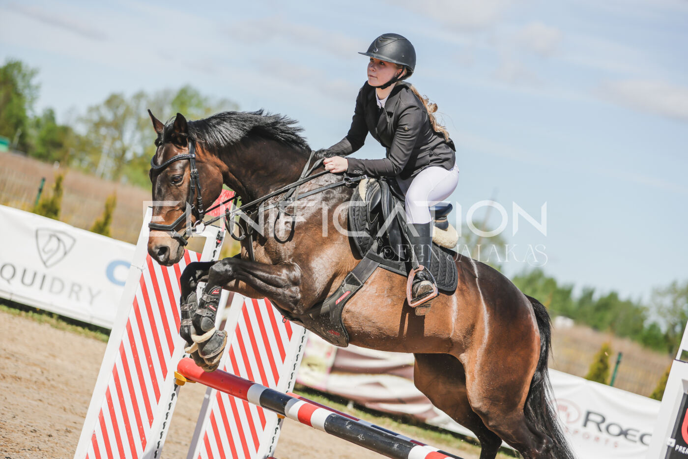 Gramina_Kevad_2026_90_129