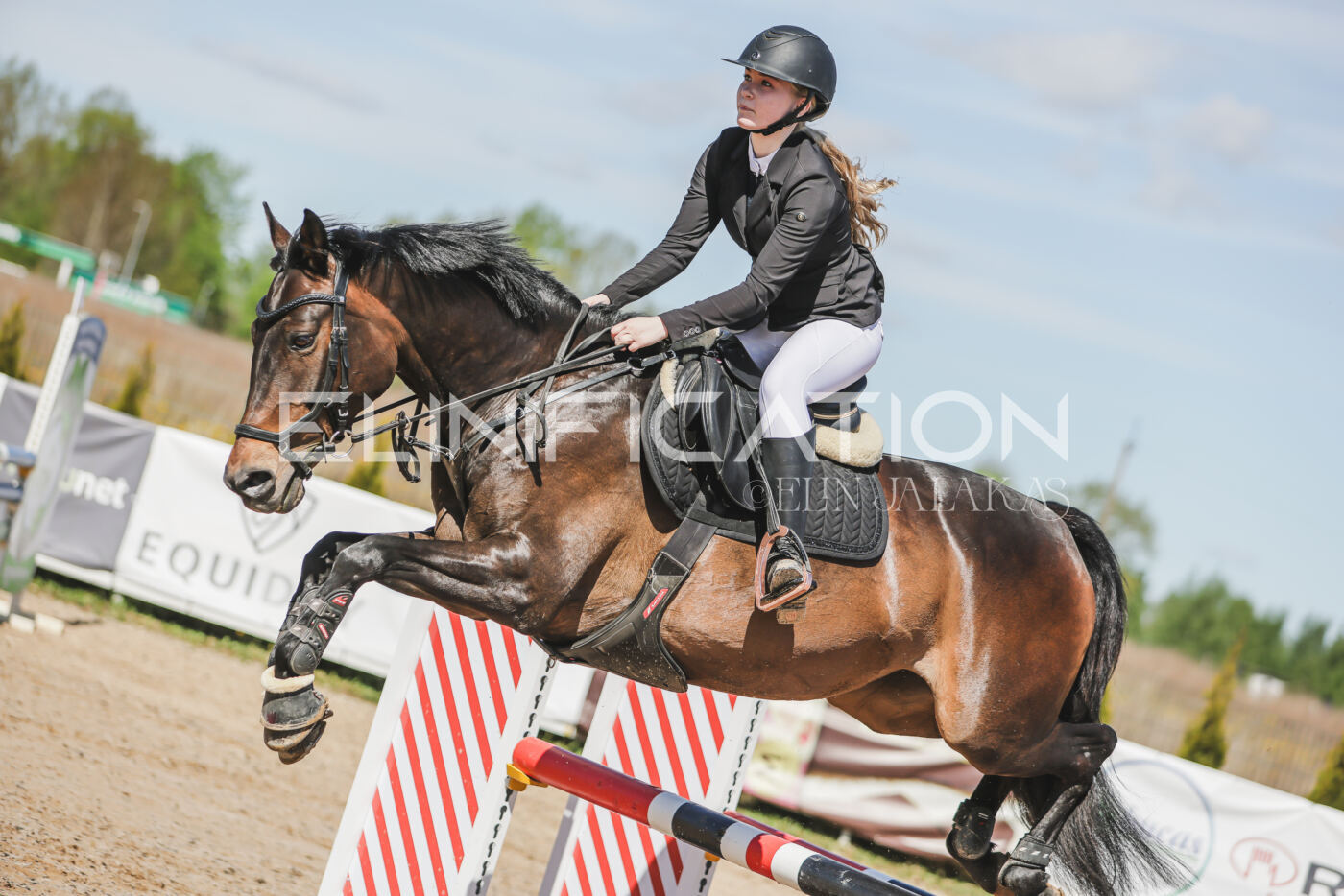Gramina_Kevad_2026_90_131