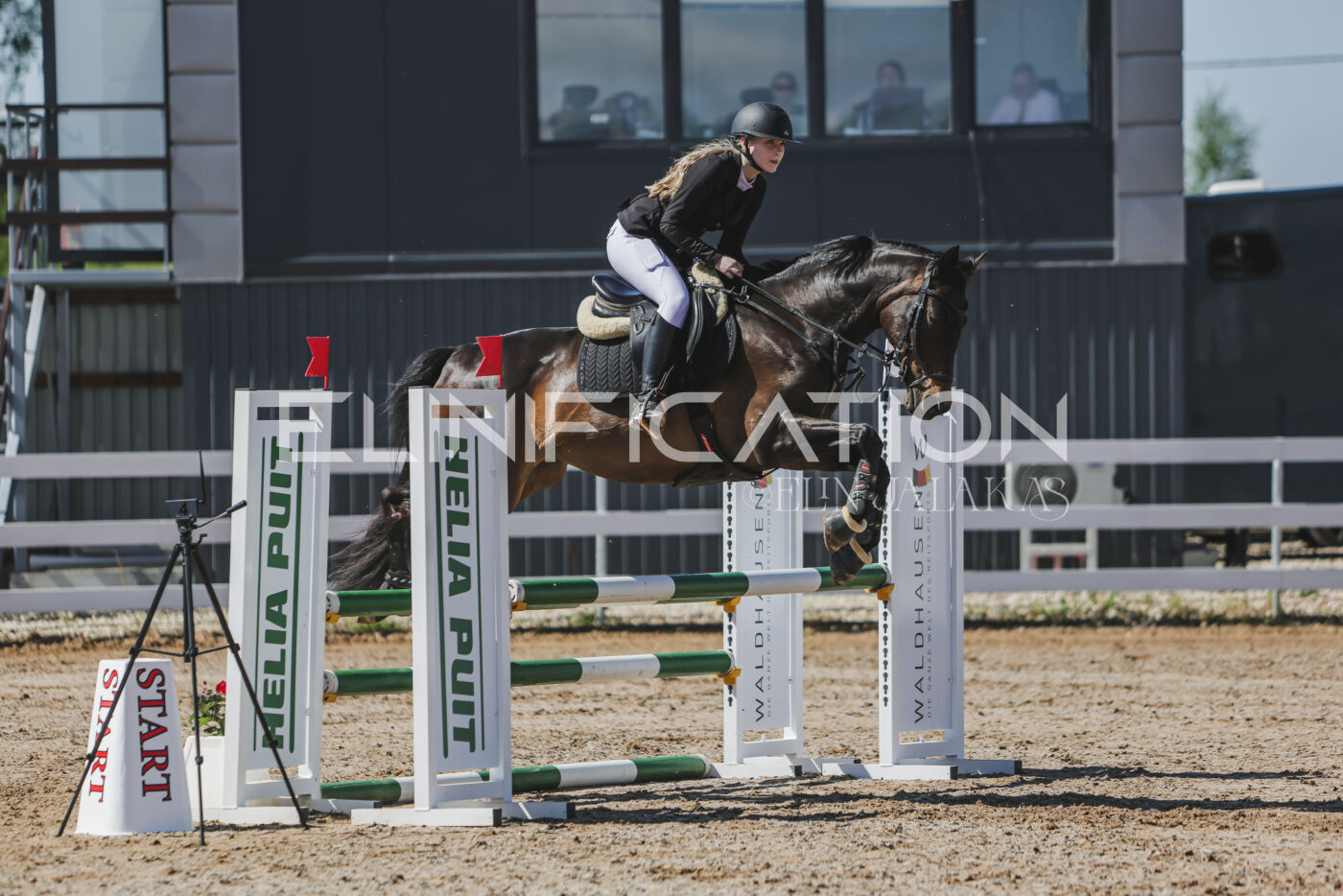 Gramina_Kevad_2026_90_134