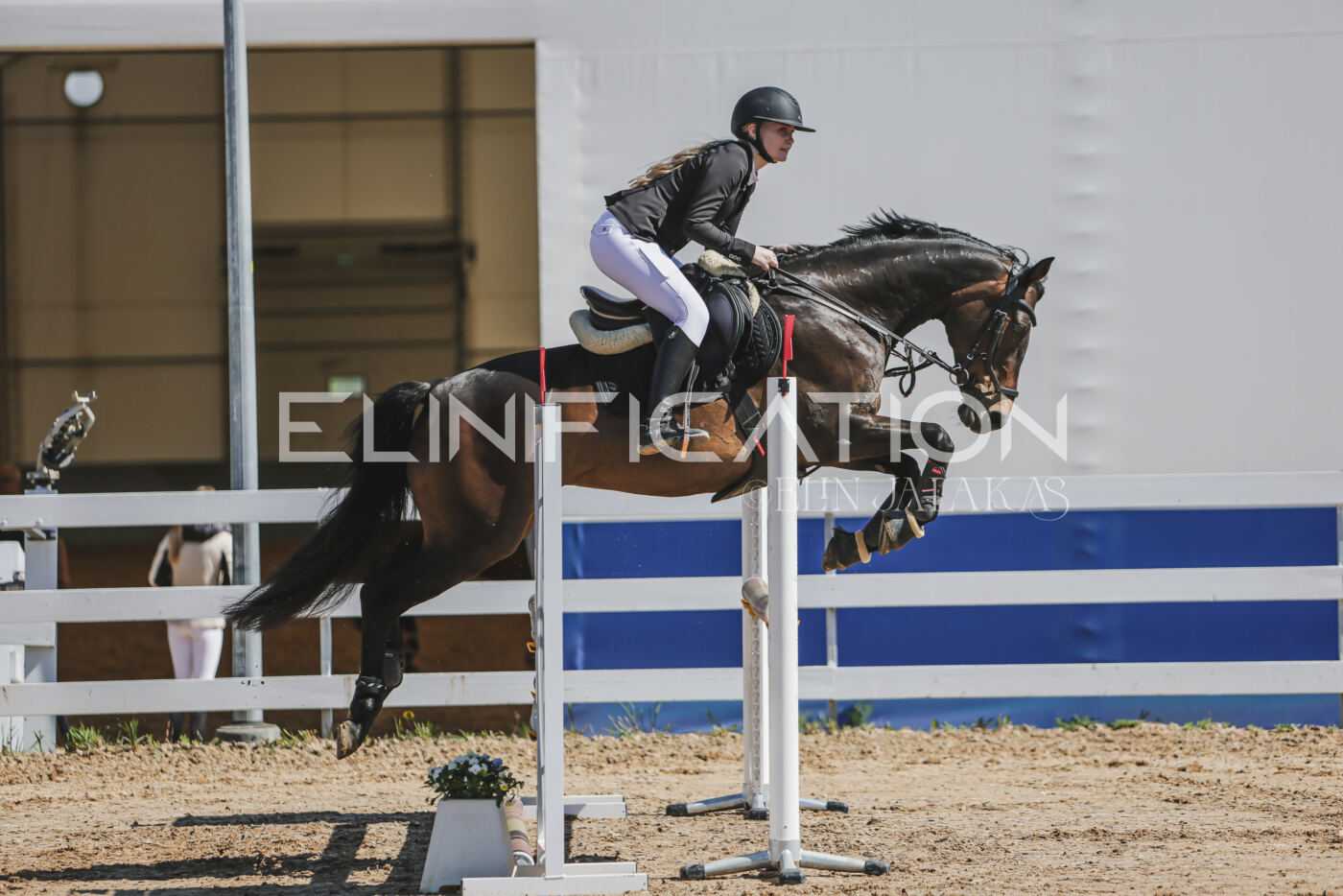 Gramina_Kevad_2026_90_141