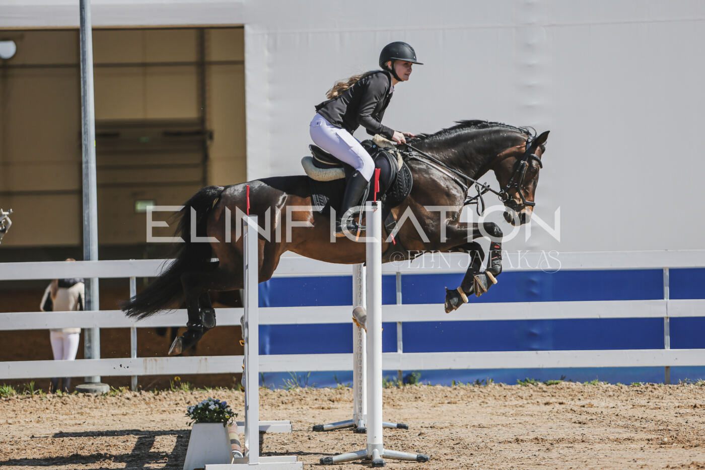 Gramina_Kevad_2026_90_142