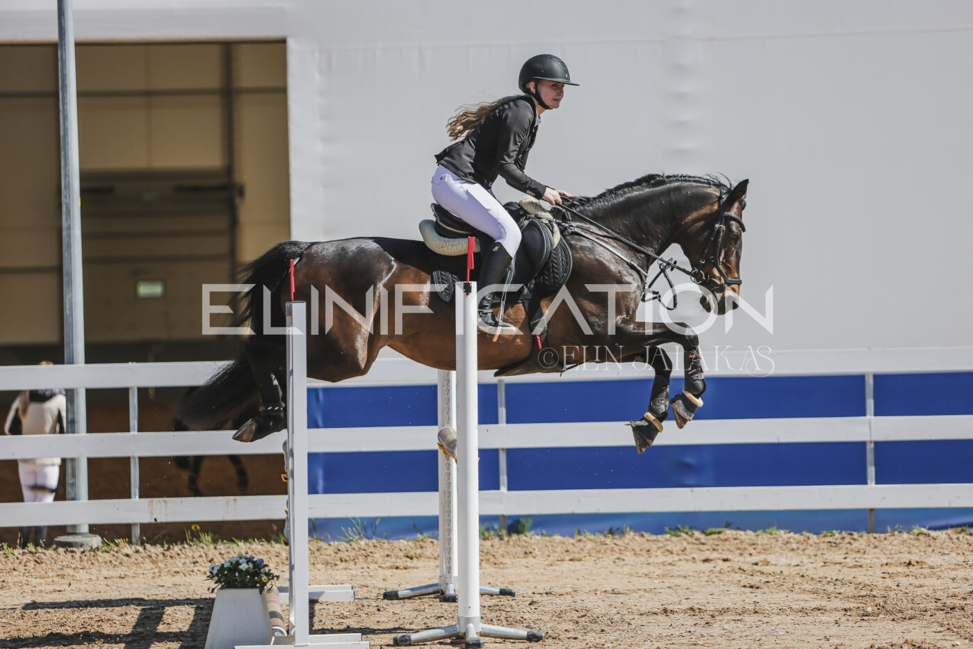 Gramina_Kevad_2026_90_143