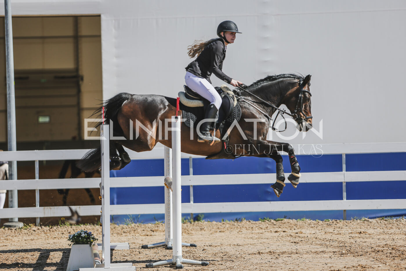 Gramina_Kevad_2026_90_144
