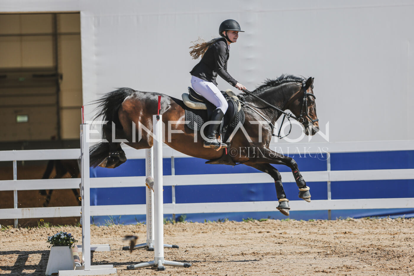 Gramina_Kevad_2026_90_145