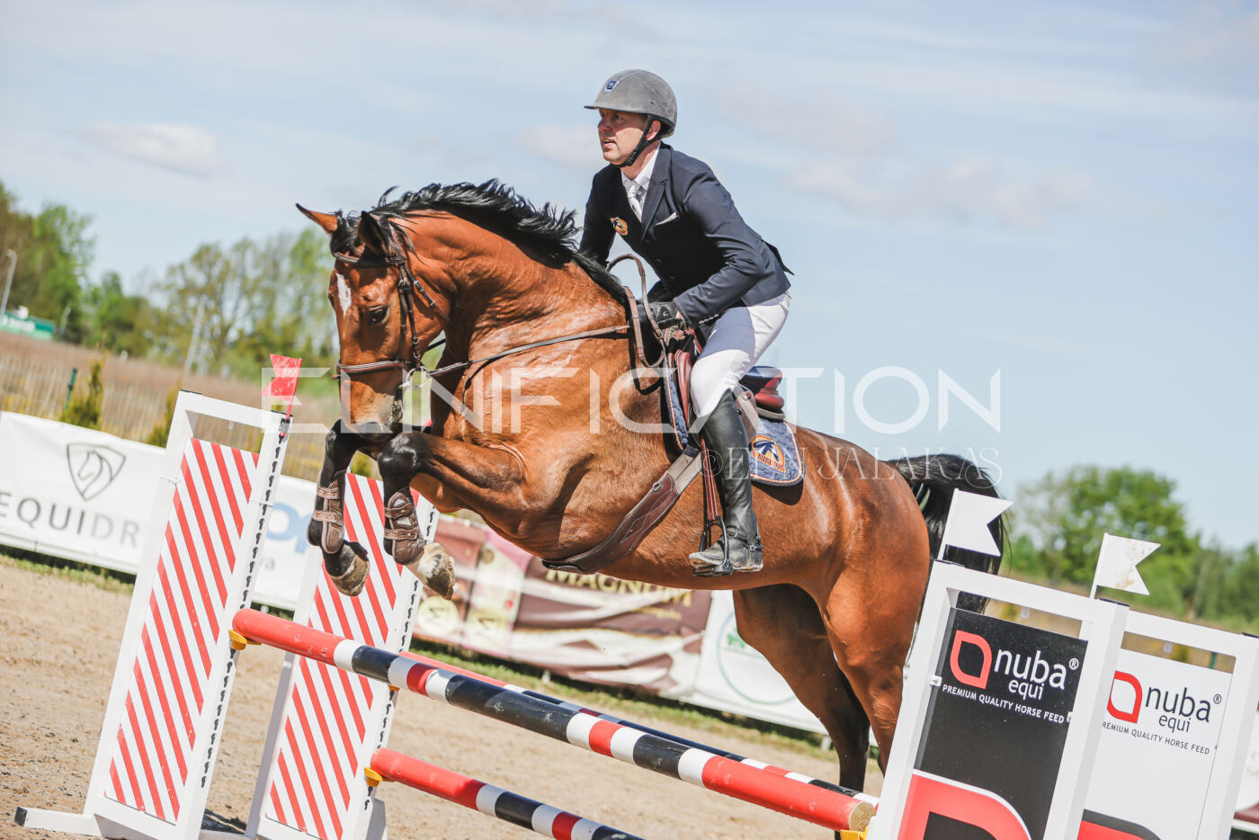 Gramina_Kevad_2026_90_154