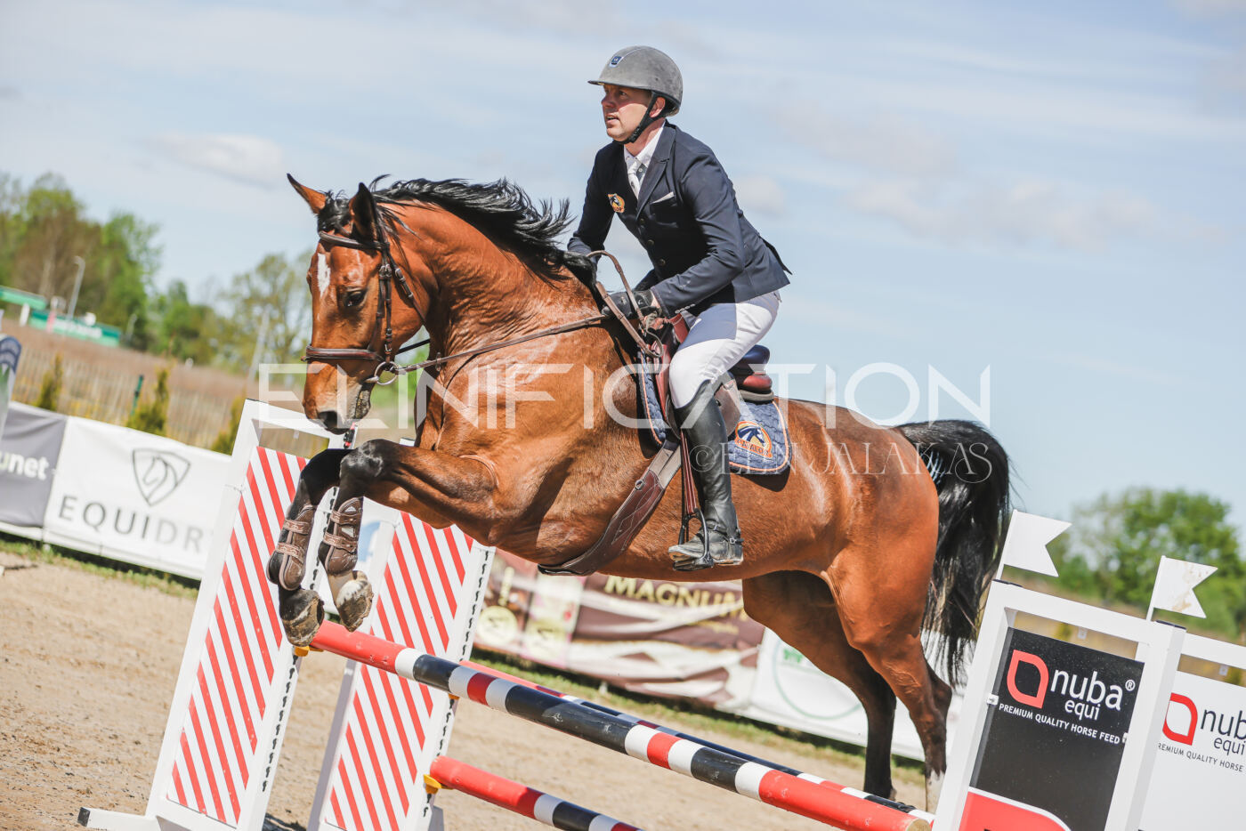Gramina_Kevad_2026_90_155