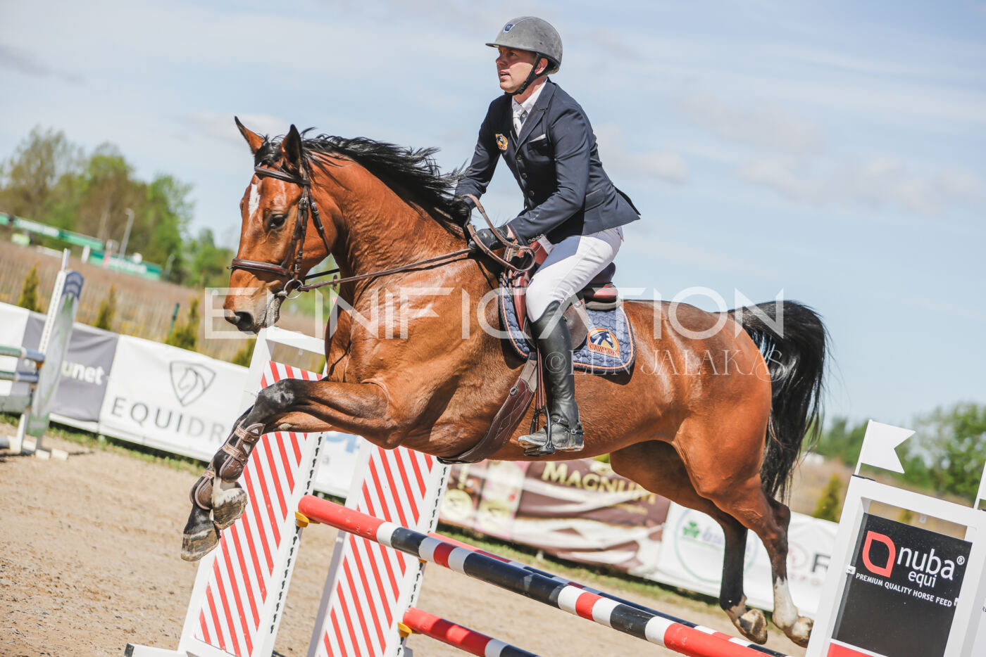Gramina_Kevad_2026_90_156