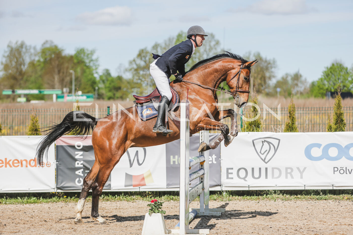 Gramina_Kevad_2026_90_159