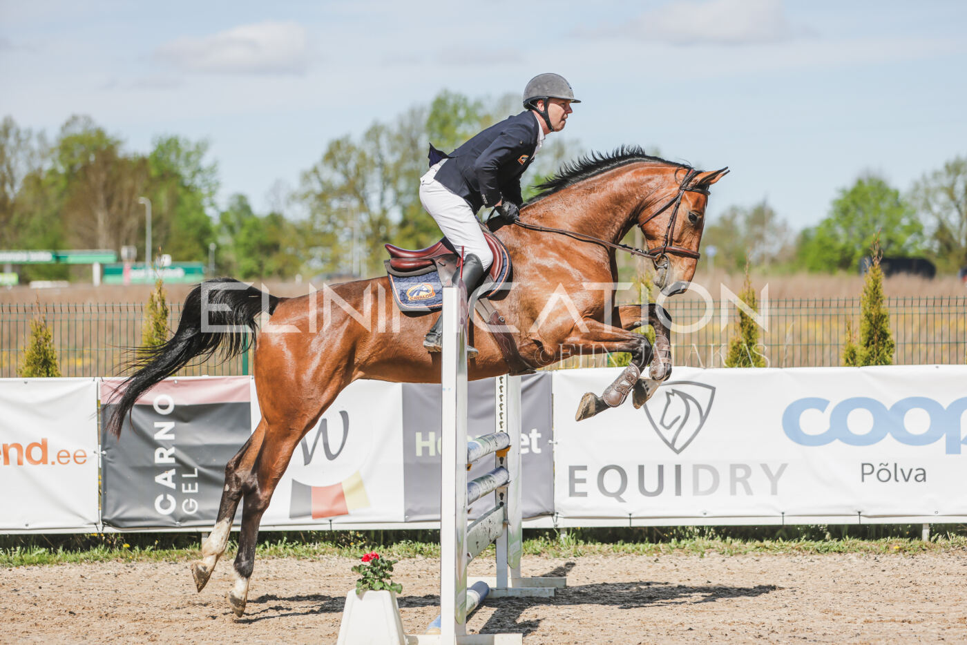 Gramina_Kevad_2026_90_160