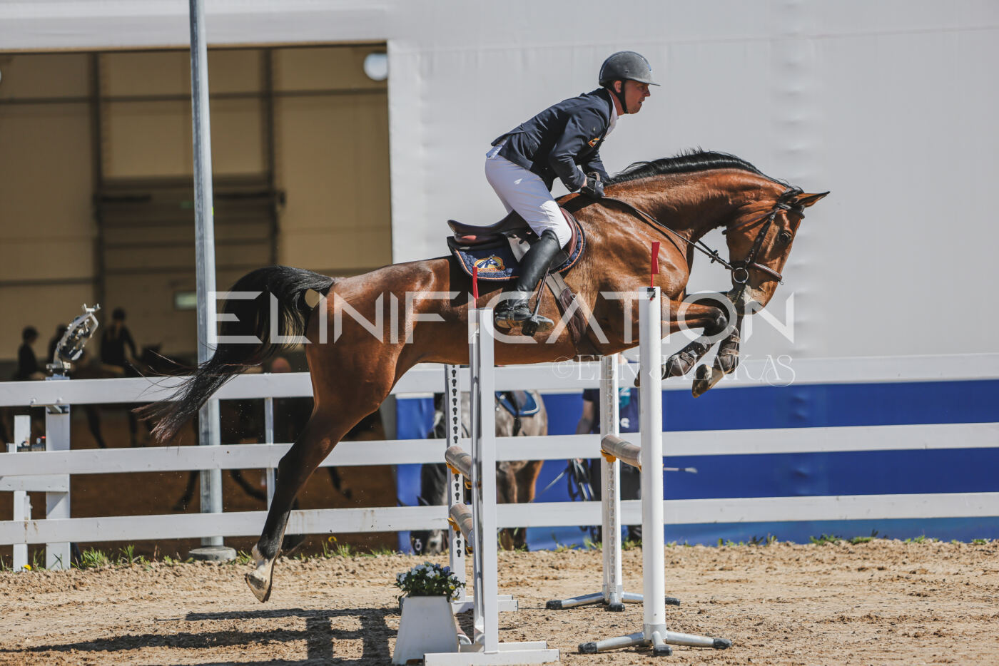 Gramina_Kevad_2026_90_162