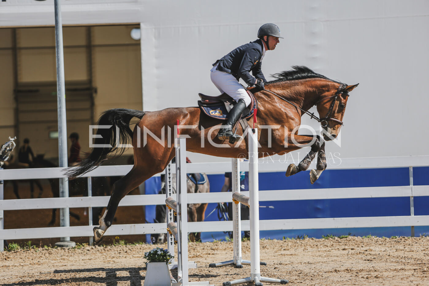 Gramina_Kevad_2026_90_163