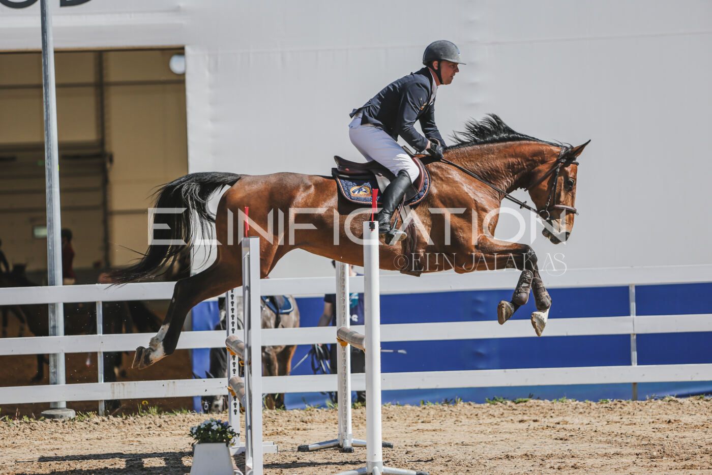 Gramina_Kevad_2026_90_164