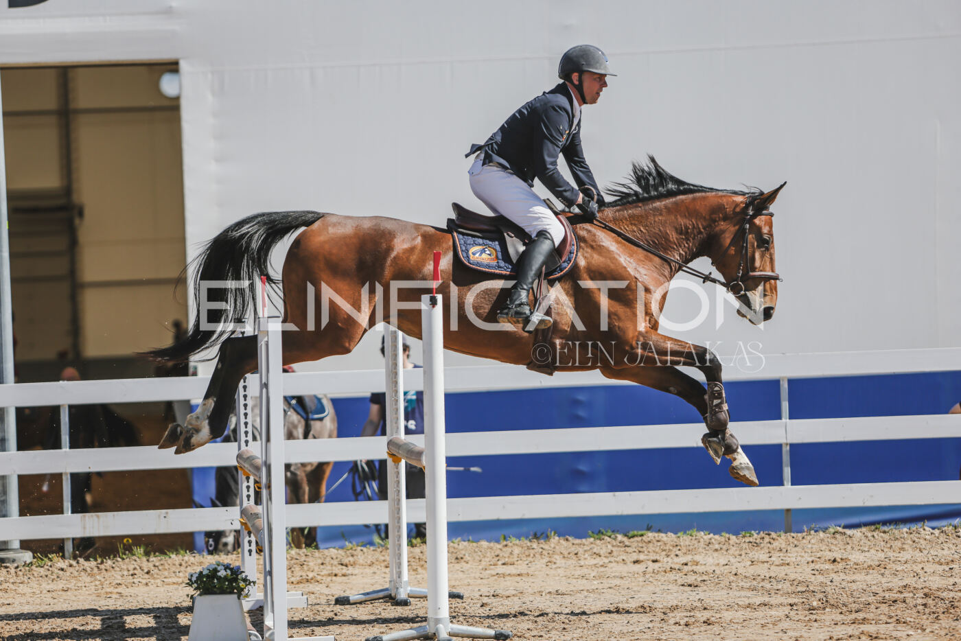Gramina_Kevad_2026_90_165