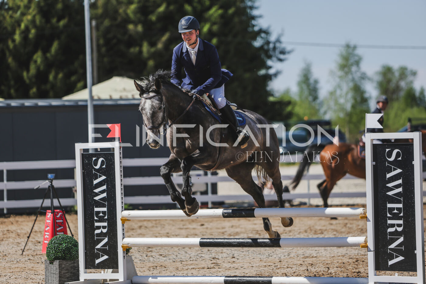 Gramina_Kevad_2026_90_172
