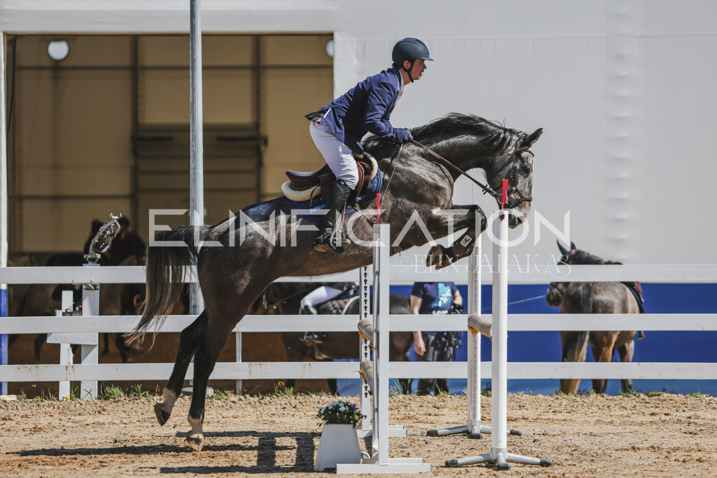 Gramina_Kevad_2026_90_187