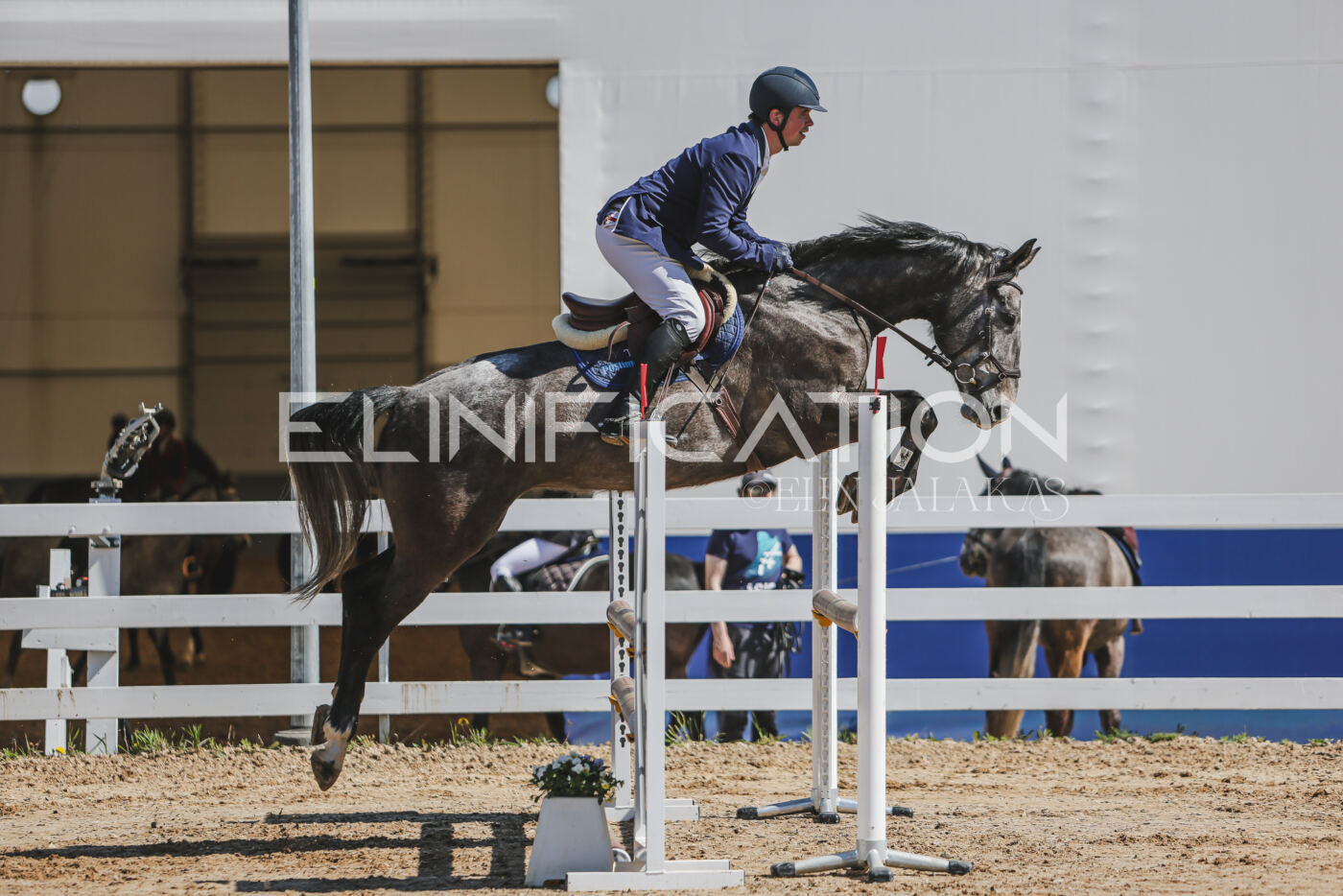 Gramina_Kevad_2026_90_188