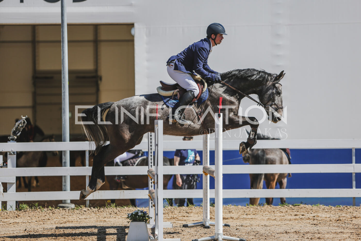 Gramina_Kevad_2026_90_189