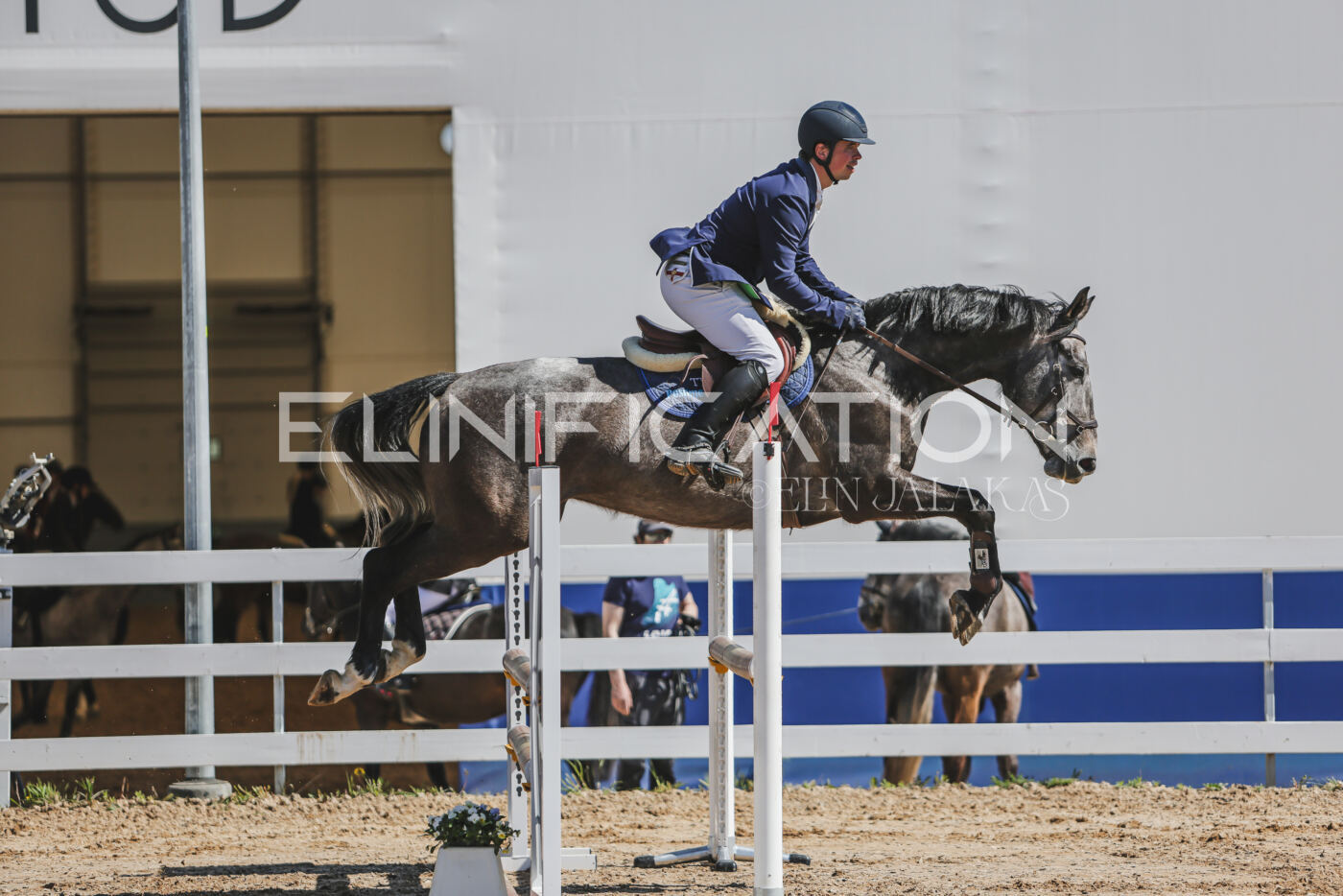 Gramina_Kevad_2026_90_190