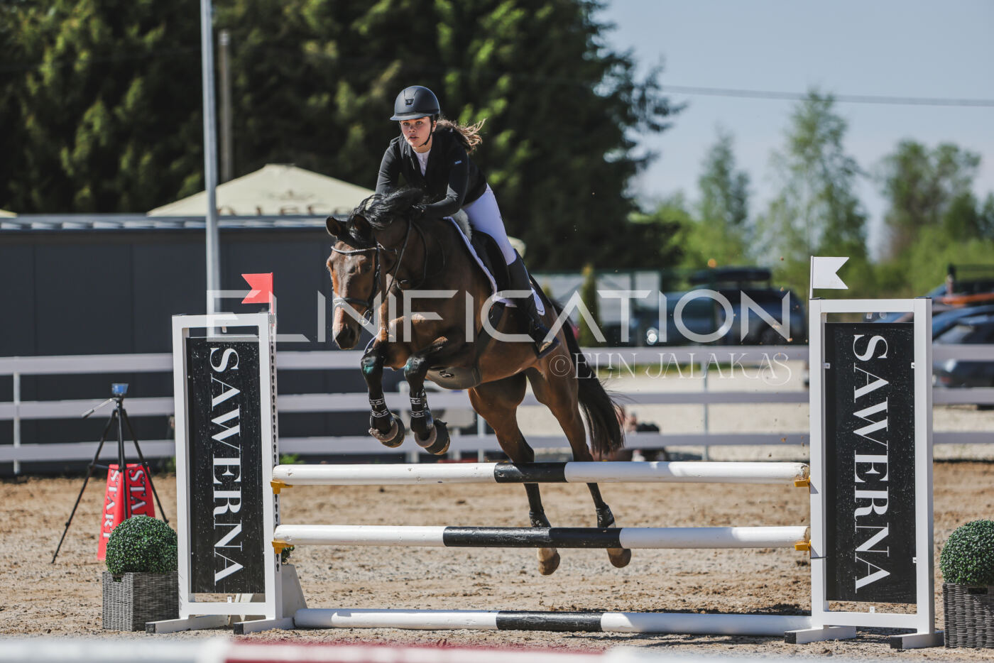 Gramina_Kevad_2026_90_195