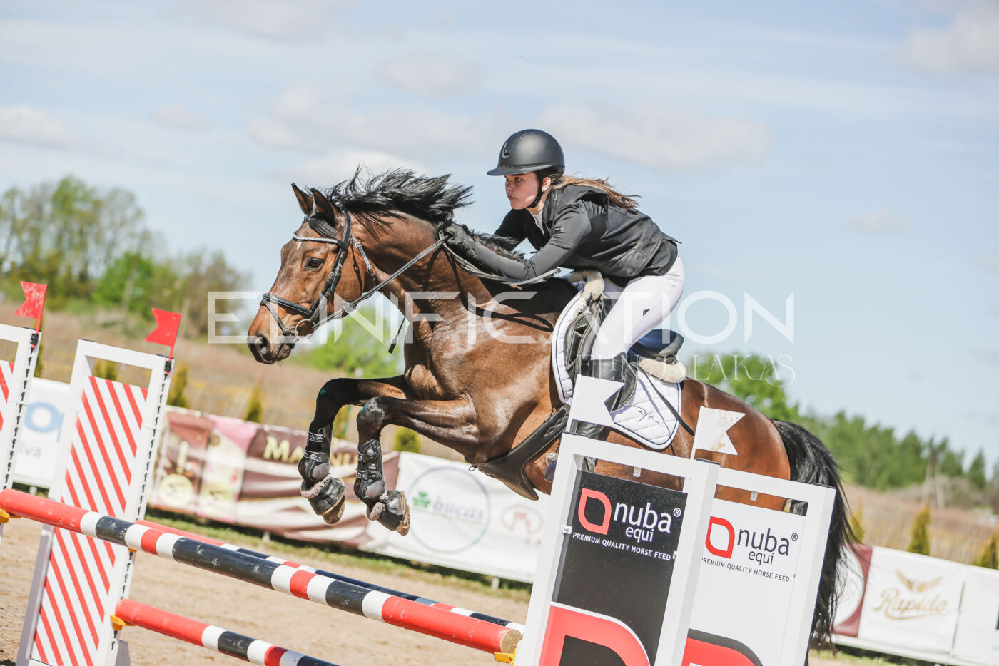 Gramina_Kevad_2026_90_198