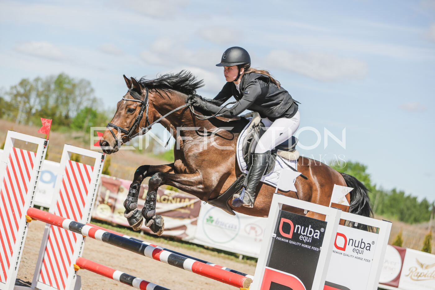 Gramina_Kevad_2026_90_199