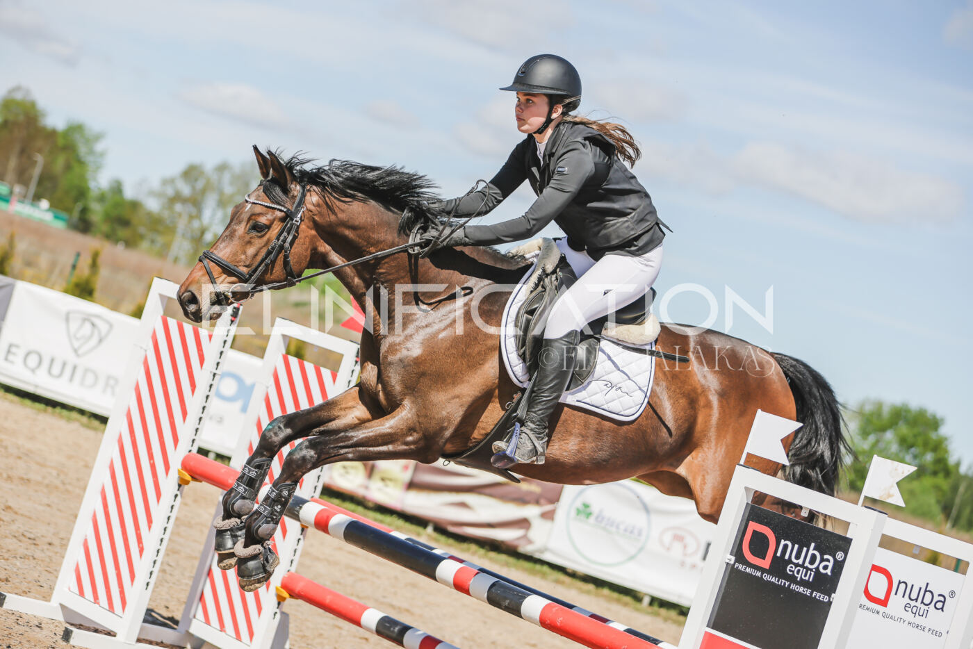 Gramina_Kevad_2026_90_201