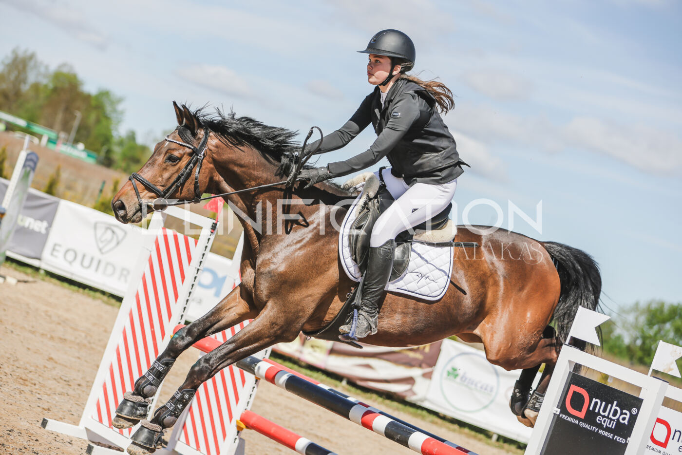 Gramina_Kevad_2026_90_202