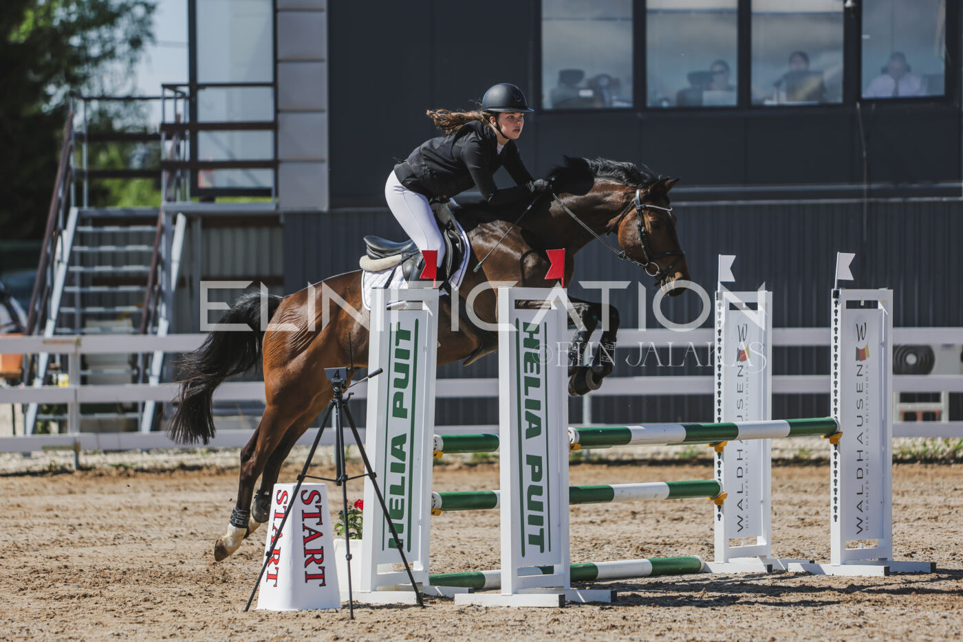 Gramina_Kevad_2026_90_203