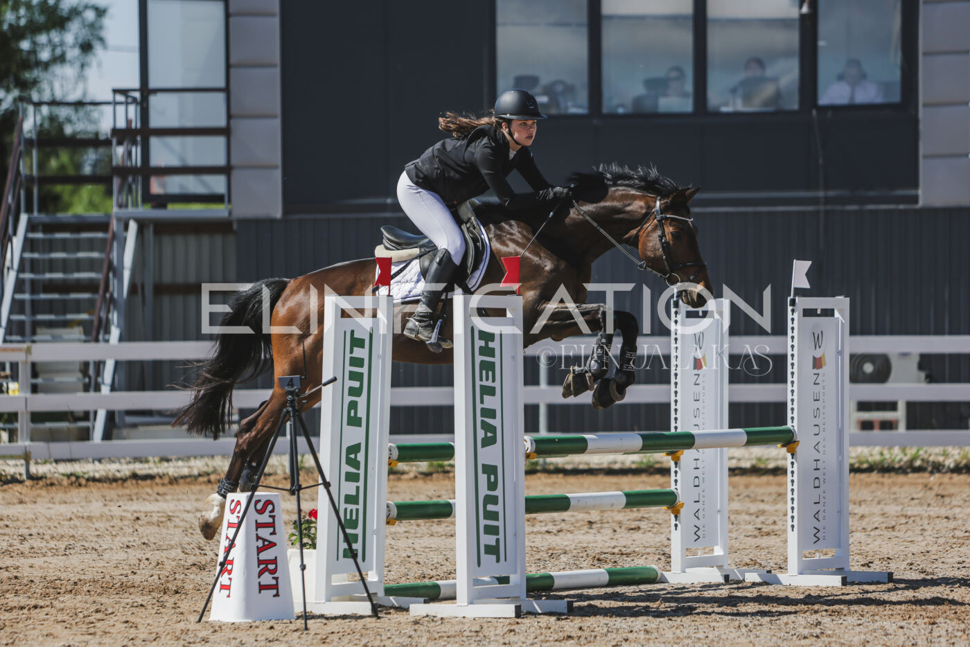 Gramina_Kevad_2026_90_204