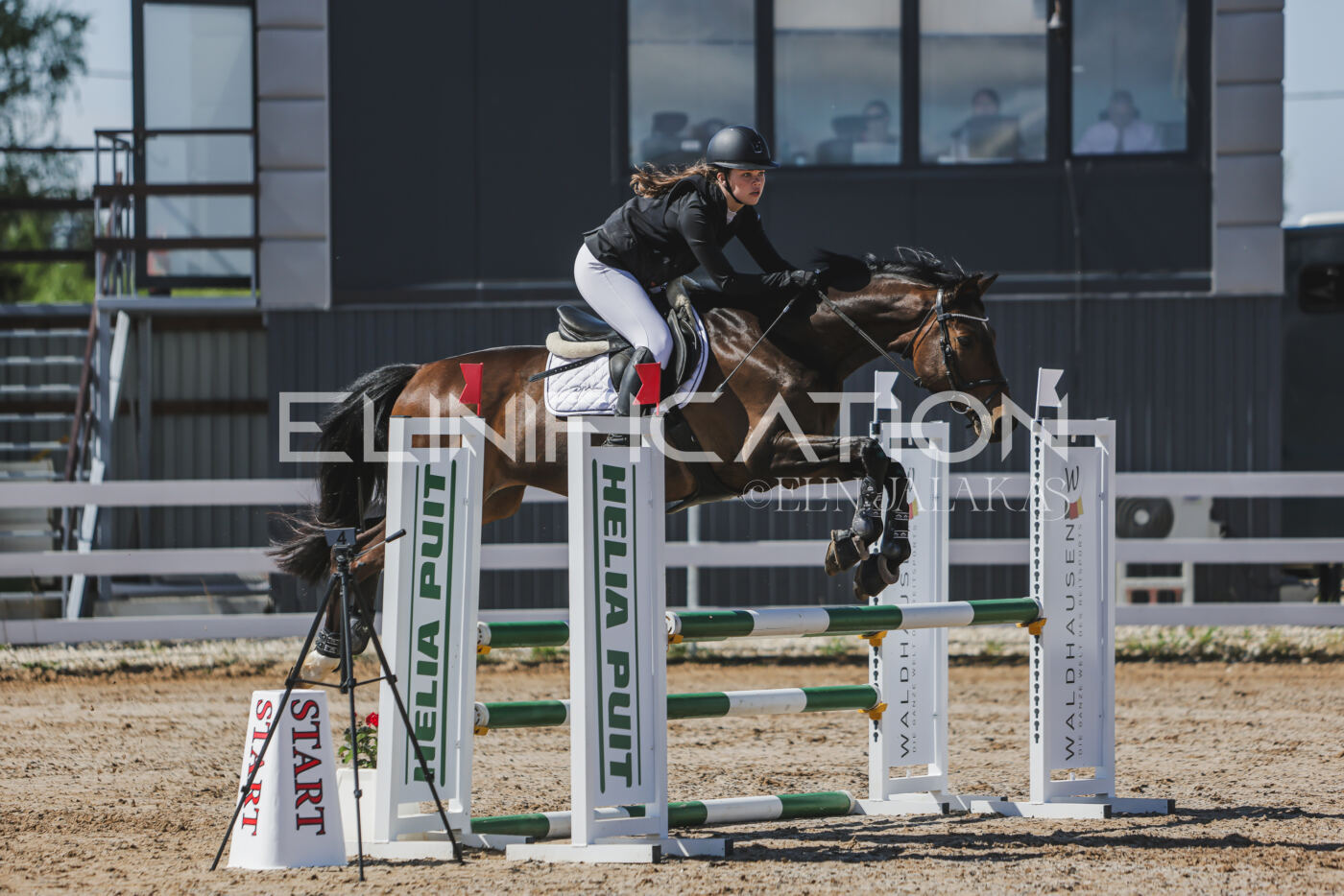 Gramina_Kevad_2026_90_205