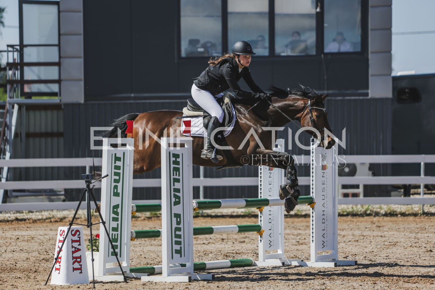 Gramina_Kevad_2026_90_206