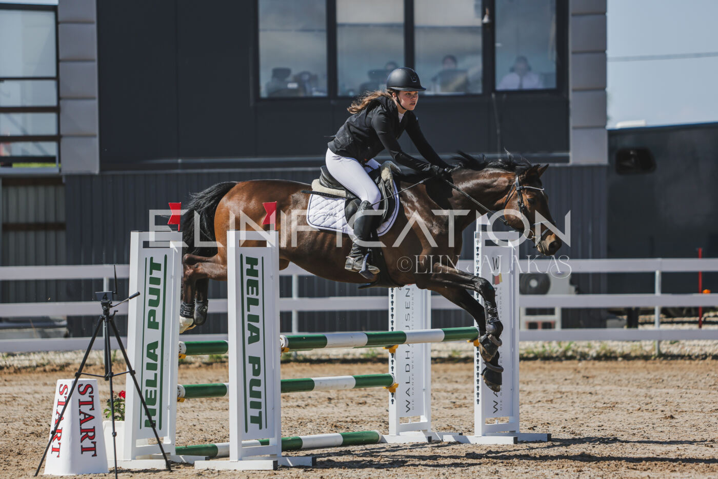 Gramina_Kevad_2026_90_207