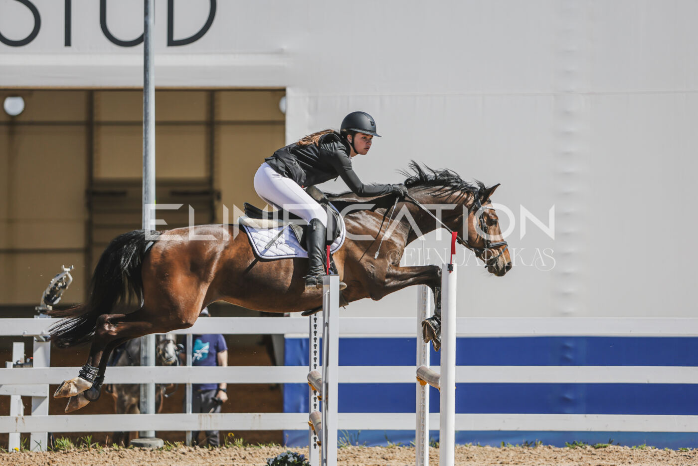 Gramina_Kevad_2026_90_212