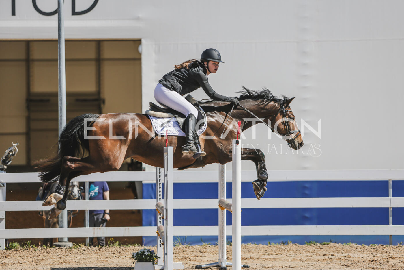 Gramina_Kevad_2026_90_213