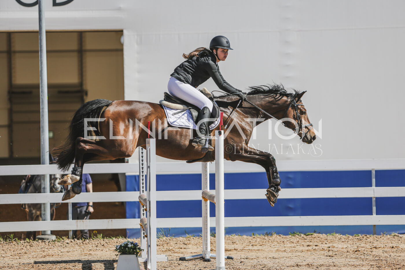 Gramina_Kevad_2026_90_214