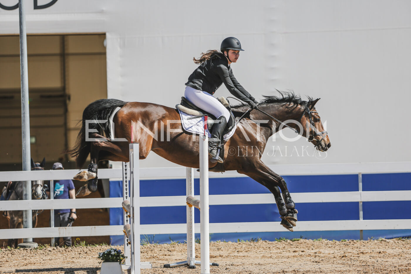 Gramina_Kevad_2026_90_215