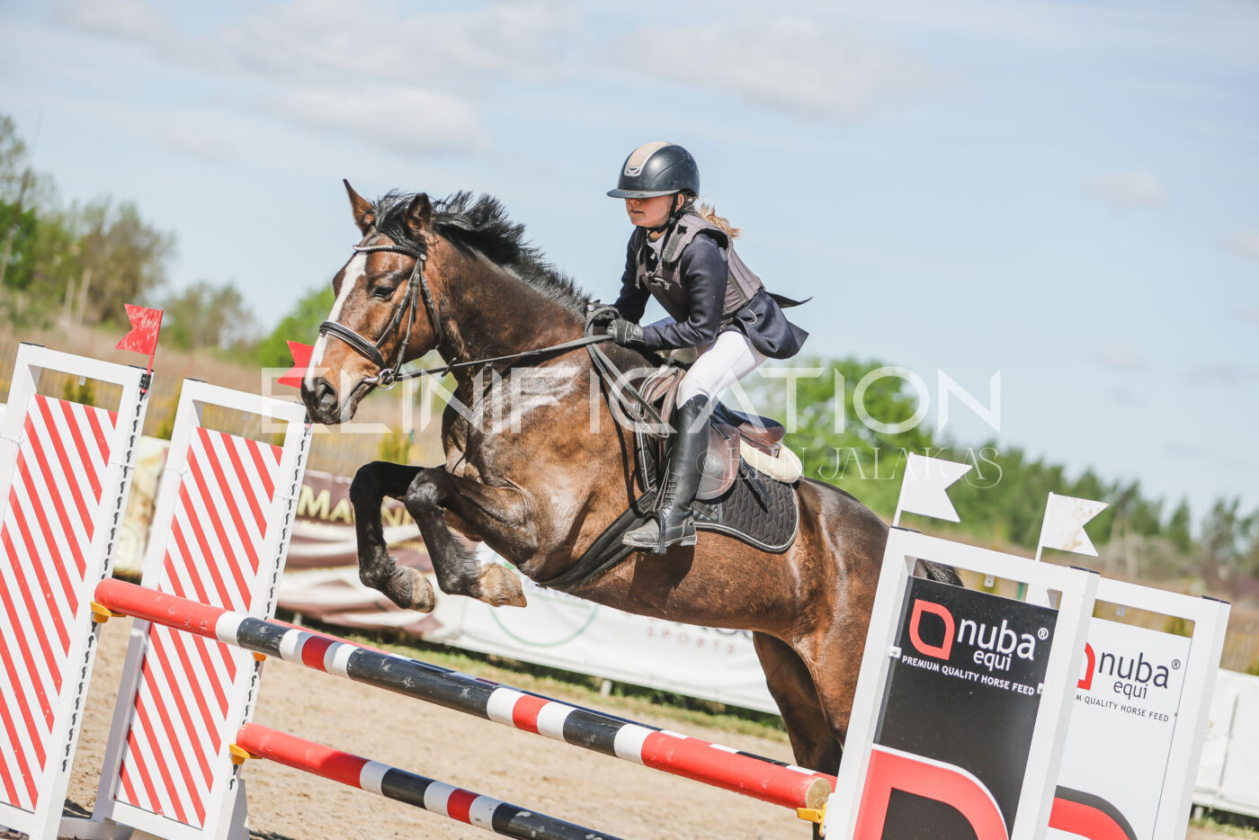 Gramina_Kevad_2026_90_219
